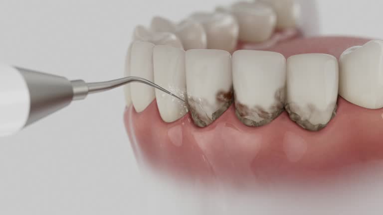 Reliable Dental contractor in Dahlonega, GA by Dentist Open Now